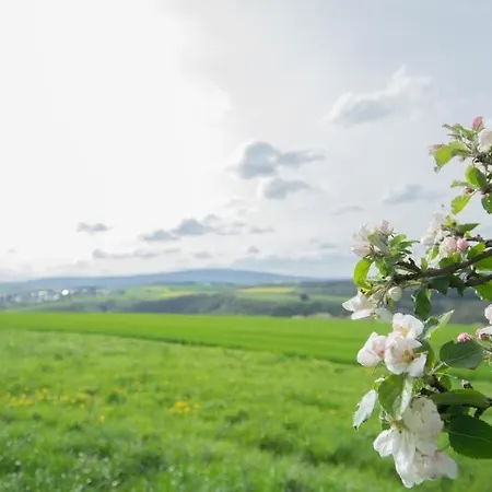 Apartament Moderne Mit Panorama *