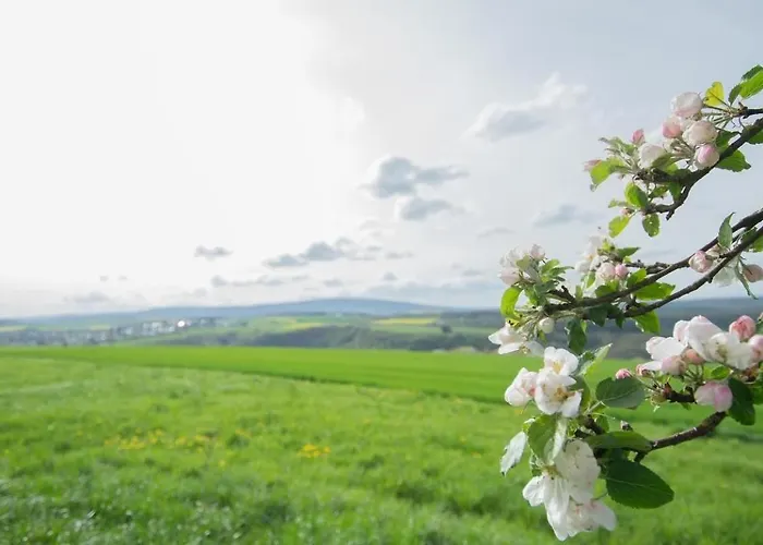 Apartamento Moderne Mit Panorama *